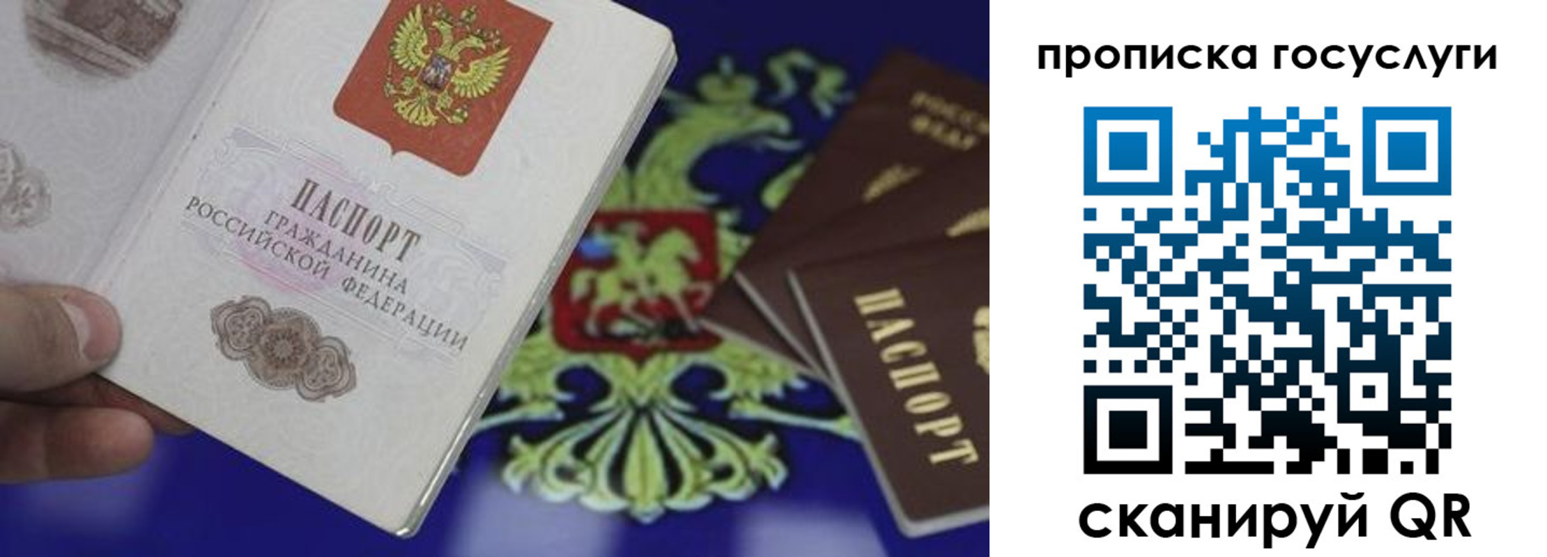 прописка для школы в Светлом